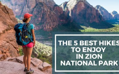 The 5 Best Hikes to Enjoy in Zion National Park
