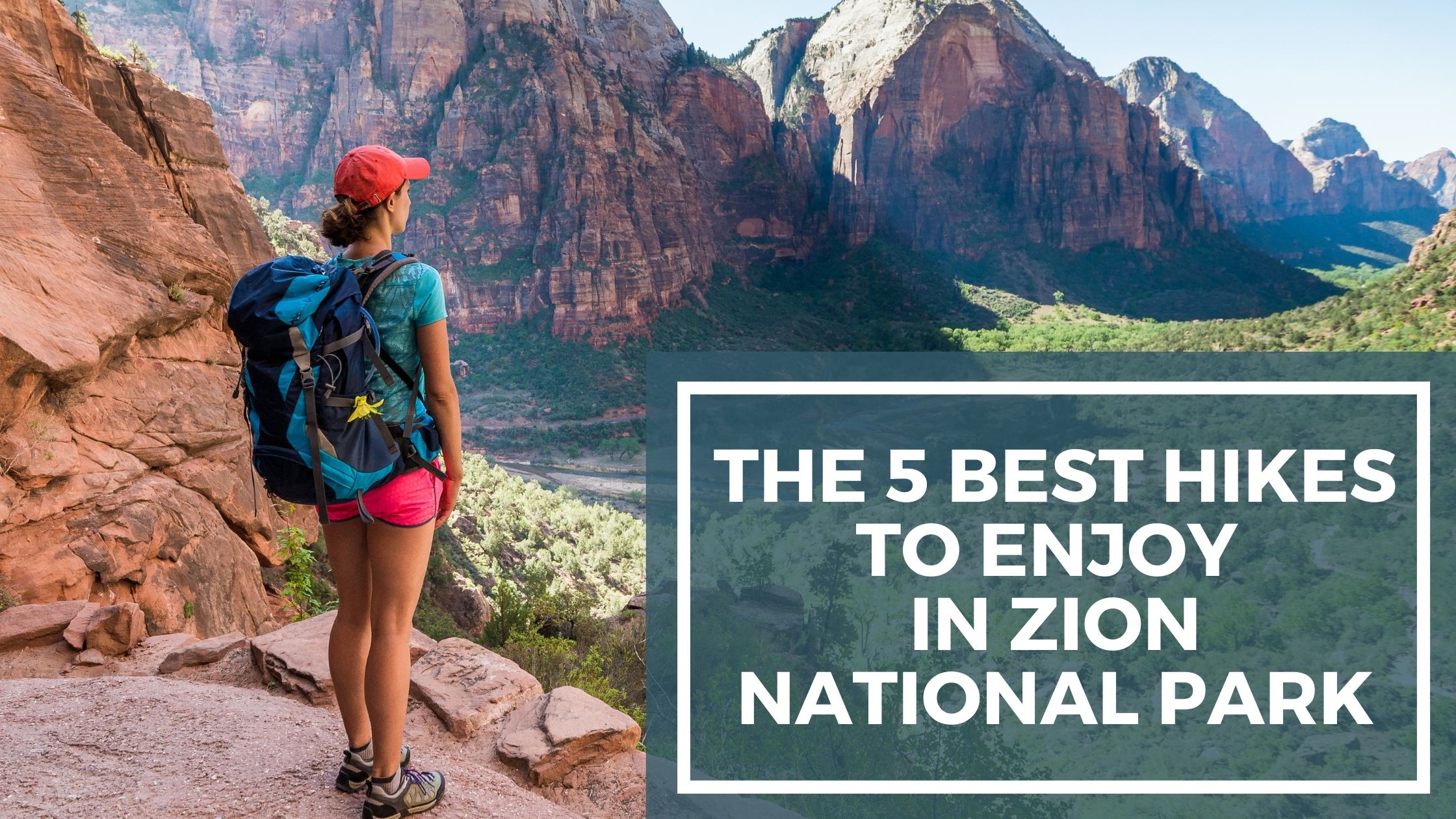 the 5 best hikes to enjoy in zion national park