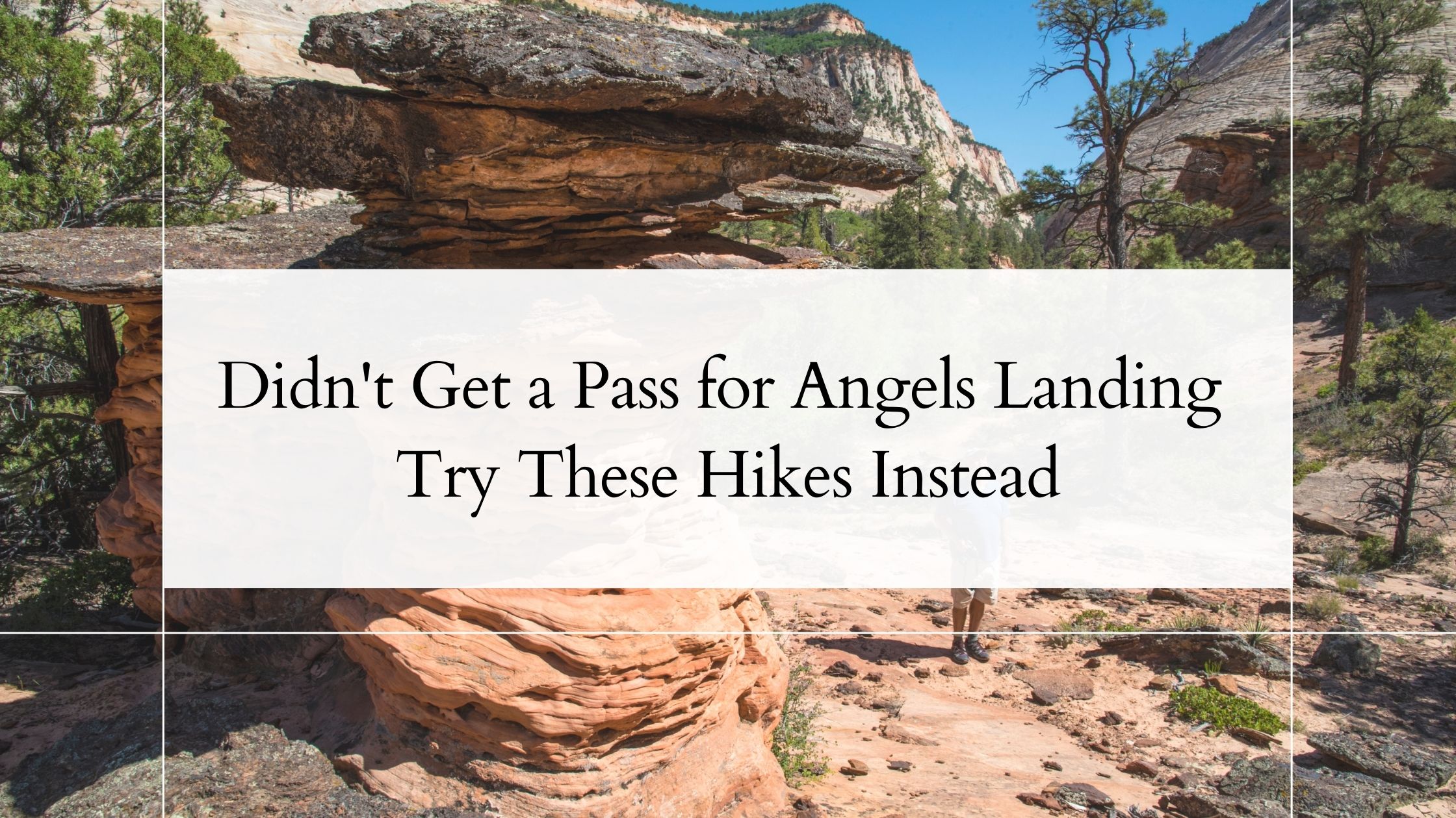 didn't get a pass for angels landing try these hikes instead