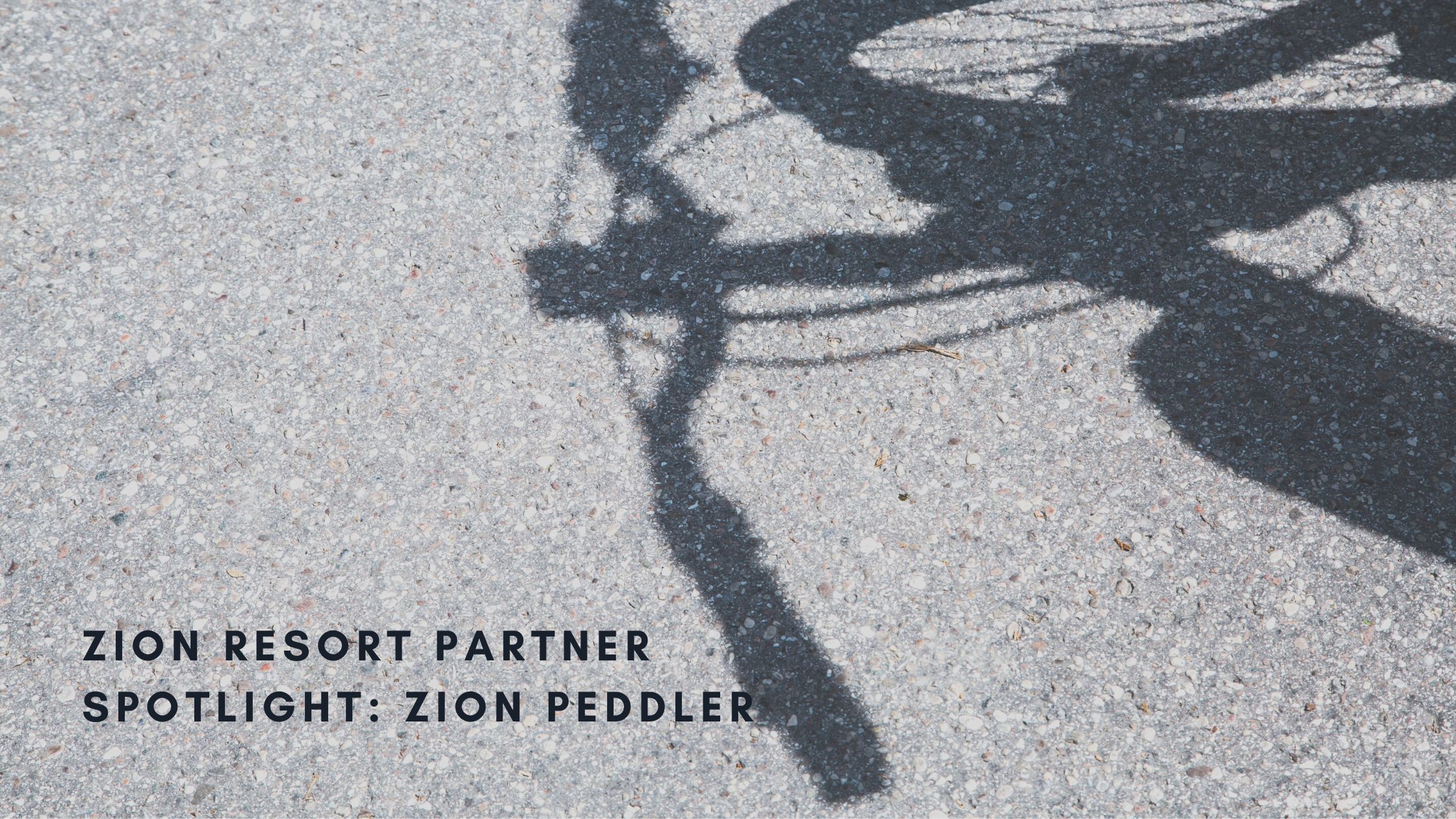 zion resort partner spotlight zion peddler