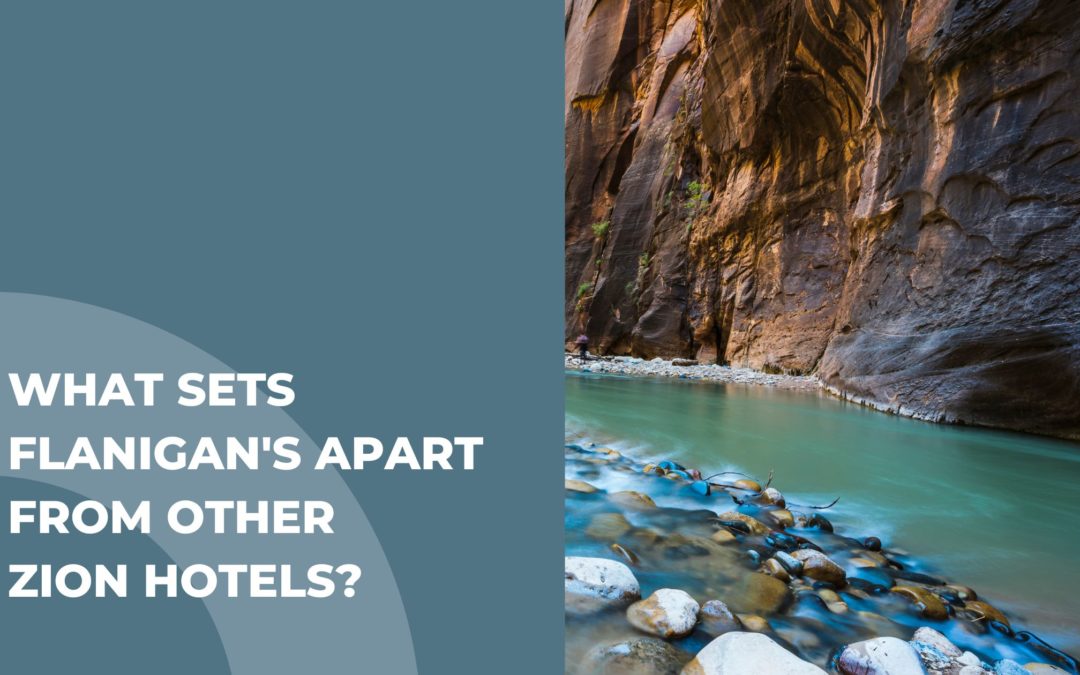 What Sets Flanigan’s Apart From Other Zion Hotels?