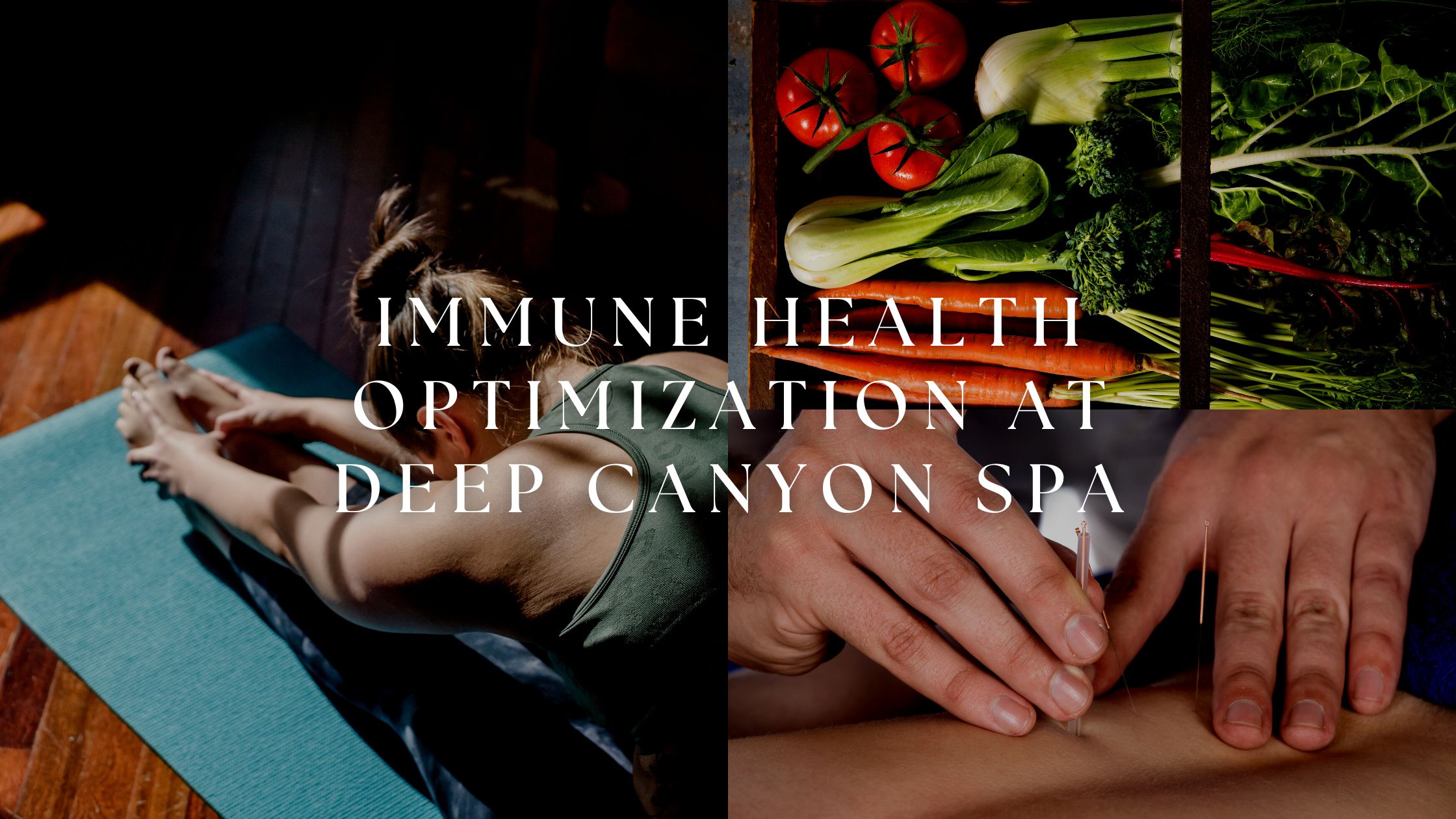 immune health optimization at deep canyon spa