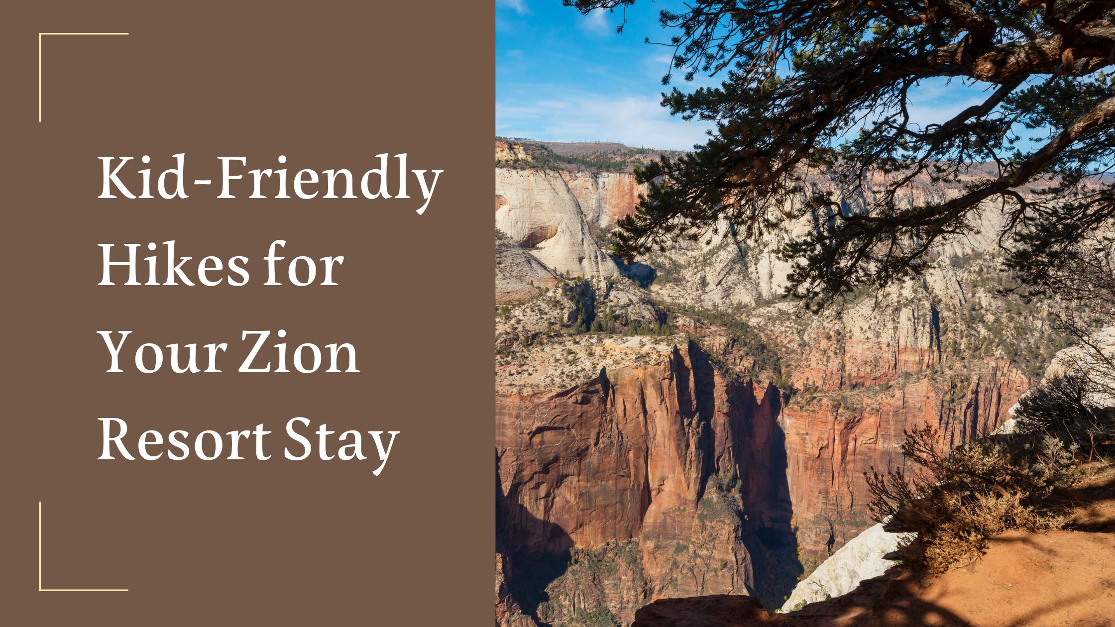 kid friendly hikes for your zion resort stay