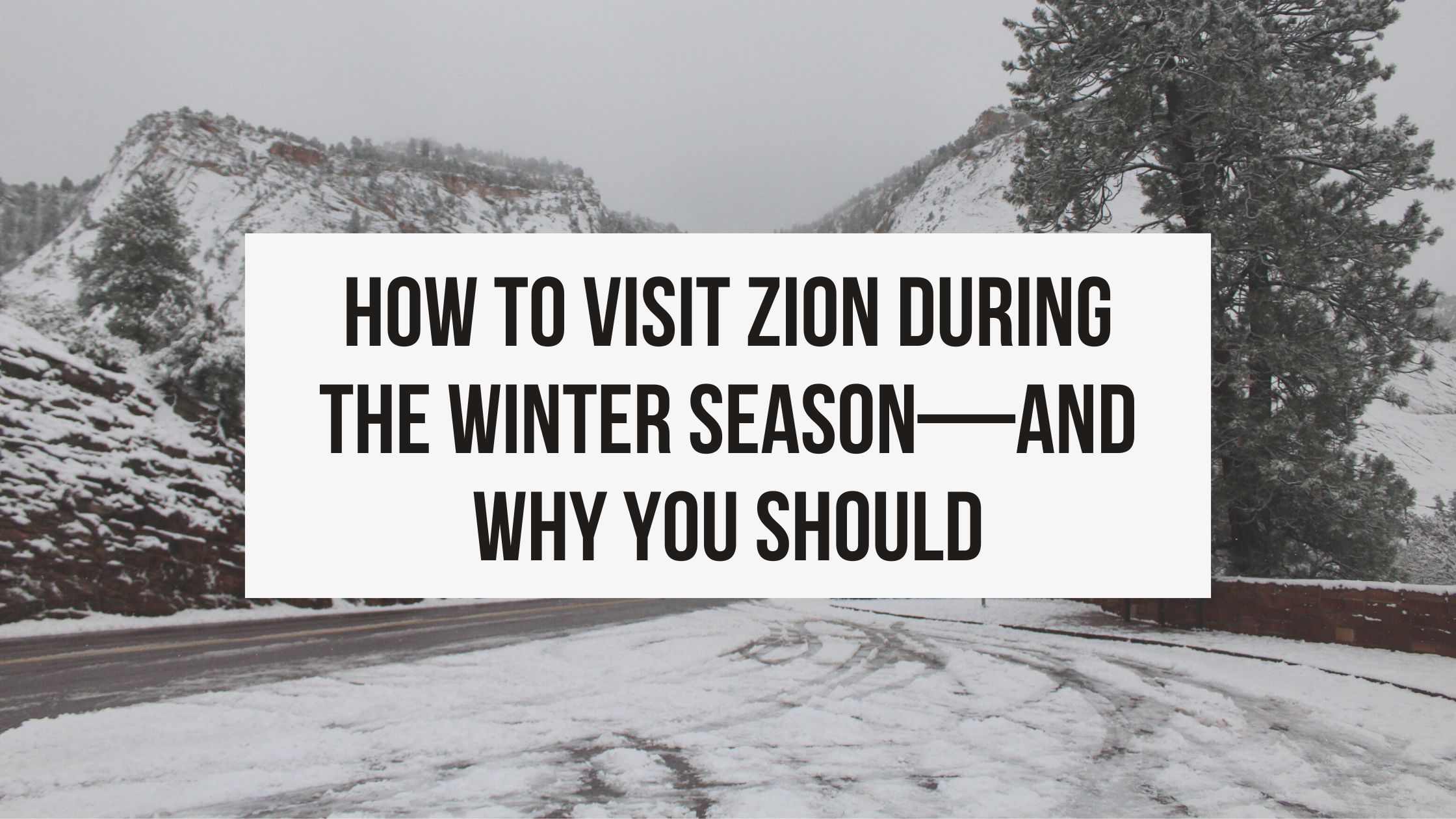 how to visit zion during the winter season—and why you should