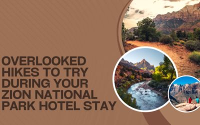 Overlooked Hikes to Try During Your Zion National Park Hotel Stay