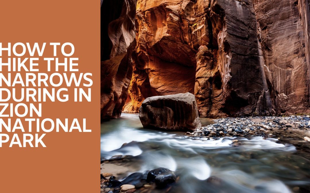 How to Hike The Narrows During in Zion National Park
