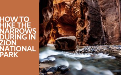 How to Hike The Narrows During in Zion National Park