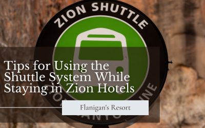 Tips for Using the Shuttle System While Staying in Zion Hotels