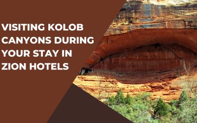 Visiting Kolob Canyons During Your Stay in Zion Hotels