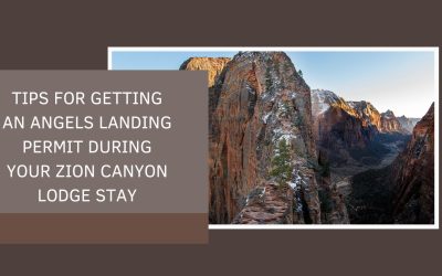 Tips for Getting an Angels Landing Permit During Your Zion Canyon Lodge Stay