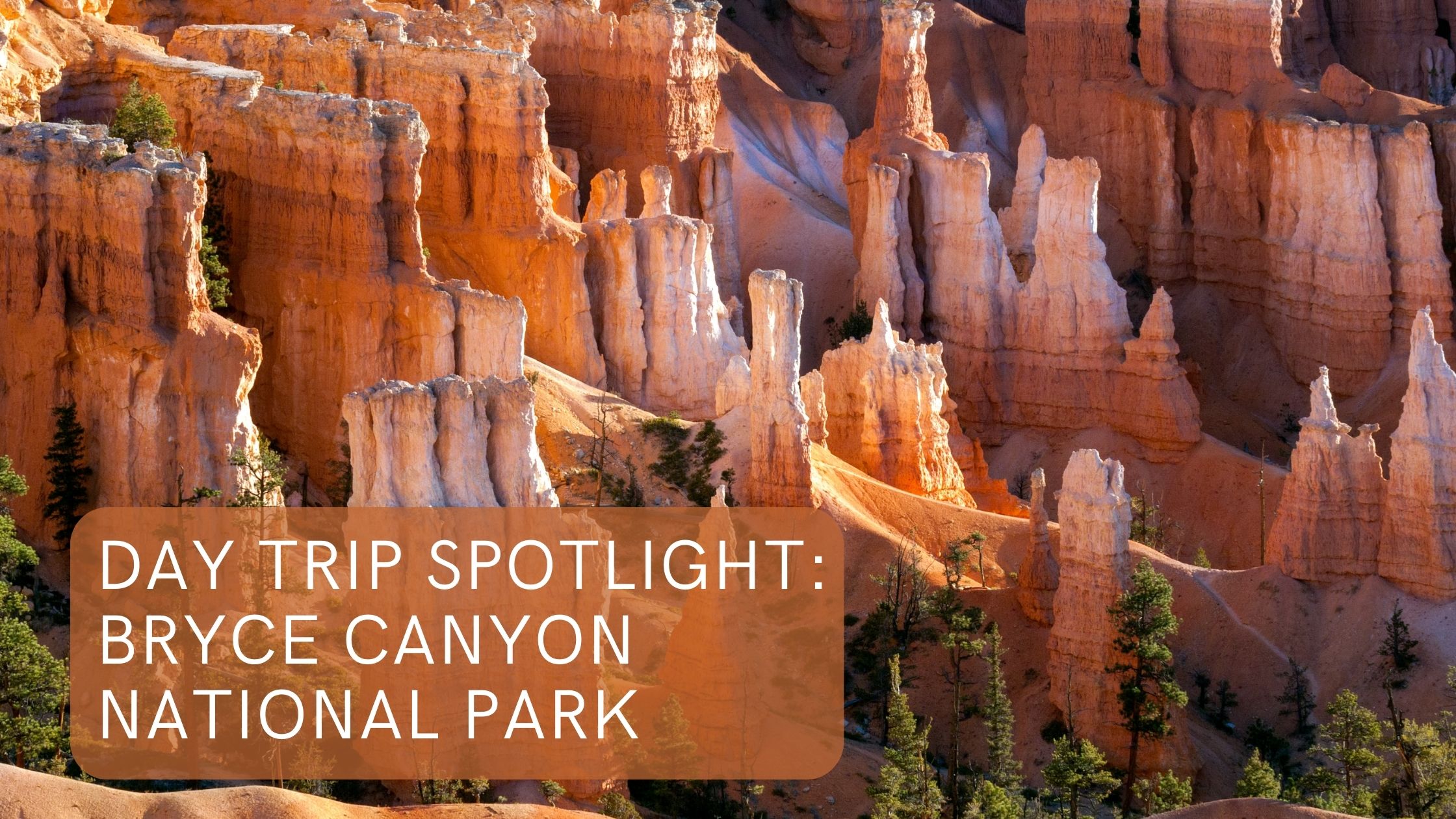 day trip spotlight bryce canyon national park