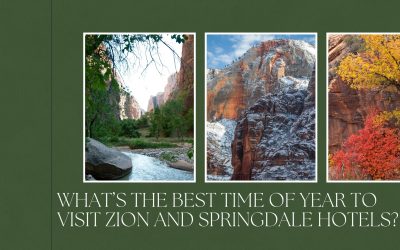 What’s the Best Time of Year to Visit Zion and Springdale Hotels?