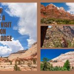 4 tips for planning a summer visit to our zion canyon lodge