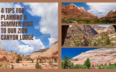 4 Tips for Planning a Summer Visit to Our Zion Canyon Lodge