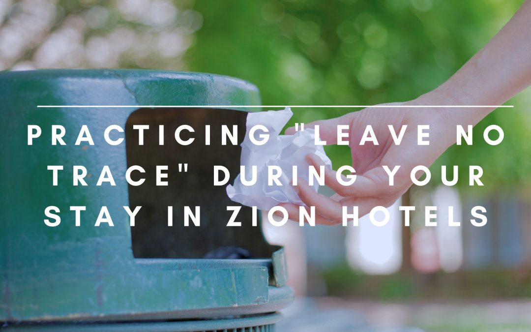 Practicing “Leave No Trace” During Your Stay in Zion Hotels