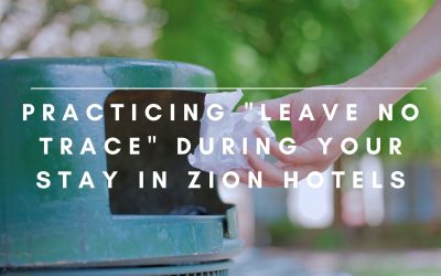 Practicing “Leave No Trace” During Your Stay in Zion Hotels