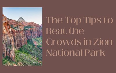The Top Tips to Beat the Crowds in Zion National Park