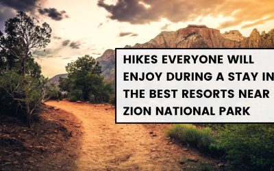 Hikes Everyone Will Enjoy During a Stay in the Best Resorts Near Zion National Park