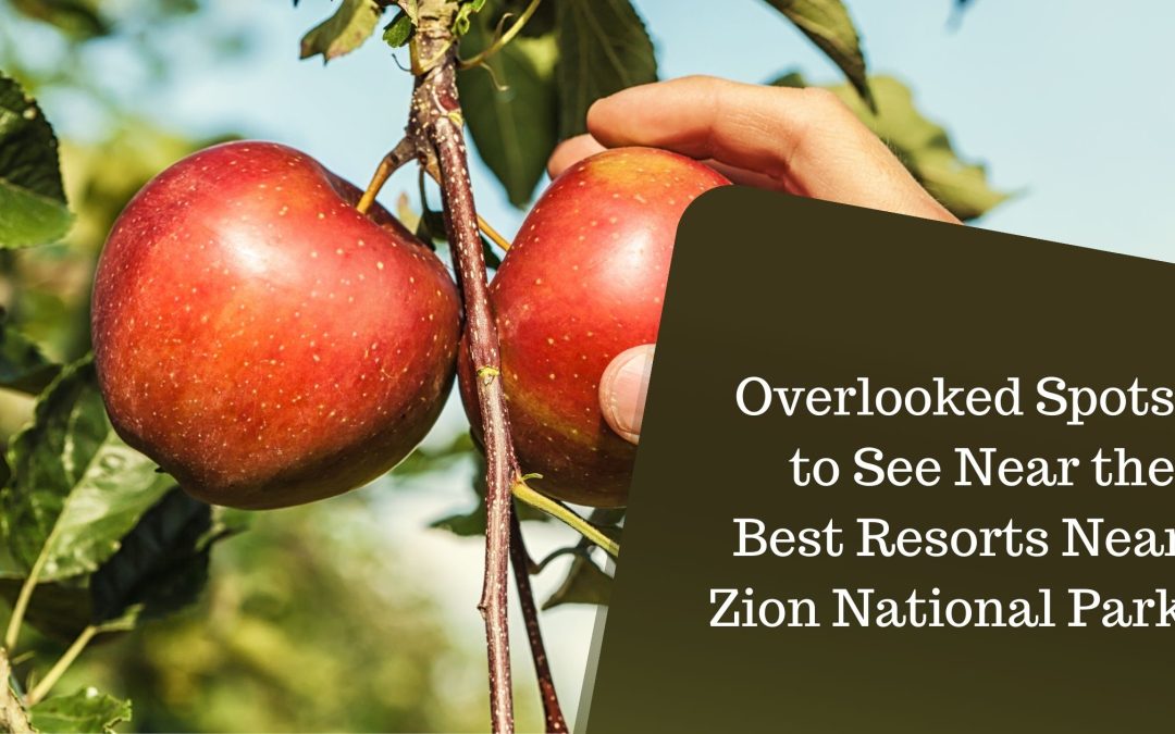 Overlooked Spots to See Near the Best Resorts Near Zion National Park