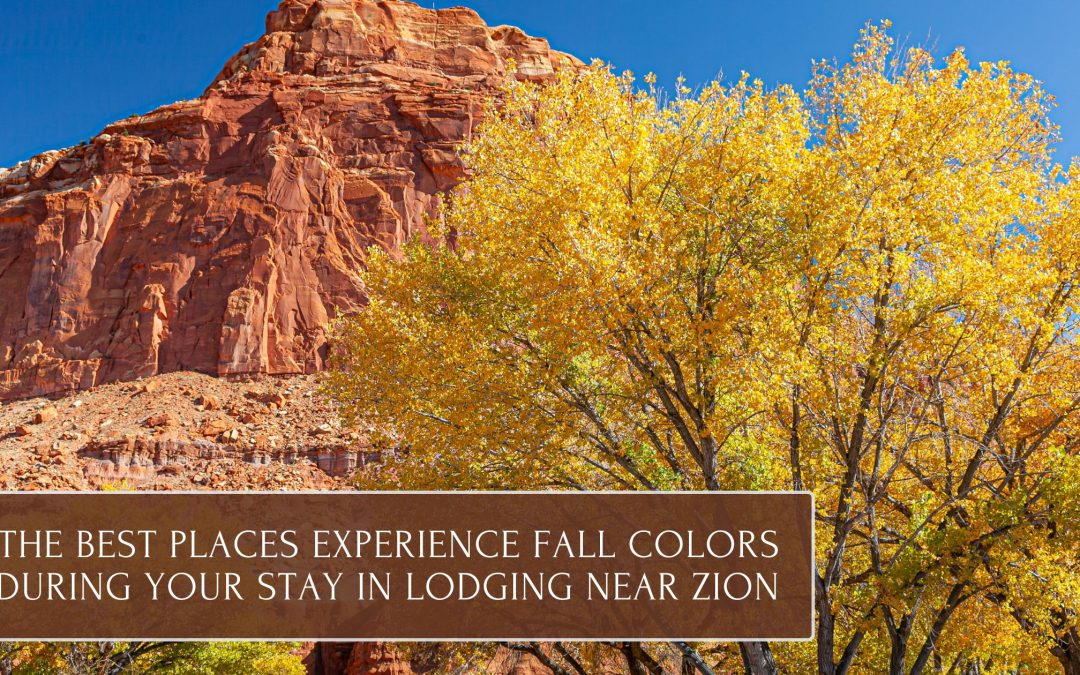 The Best Places Experience Fall Colors During Your Stay in Lodging Near Zion