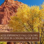 the best places experience fall colors during your stay in lodging near zion