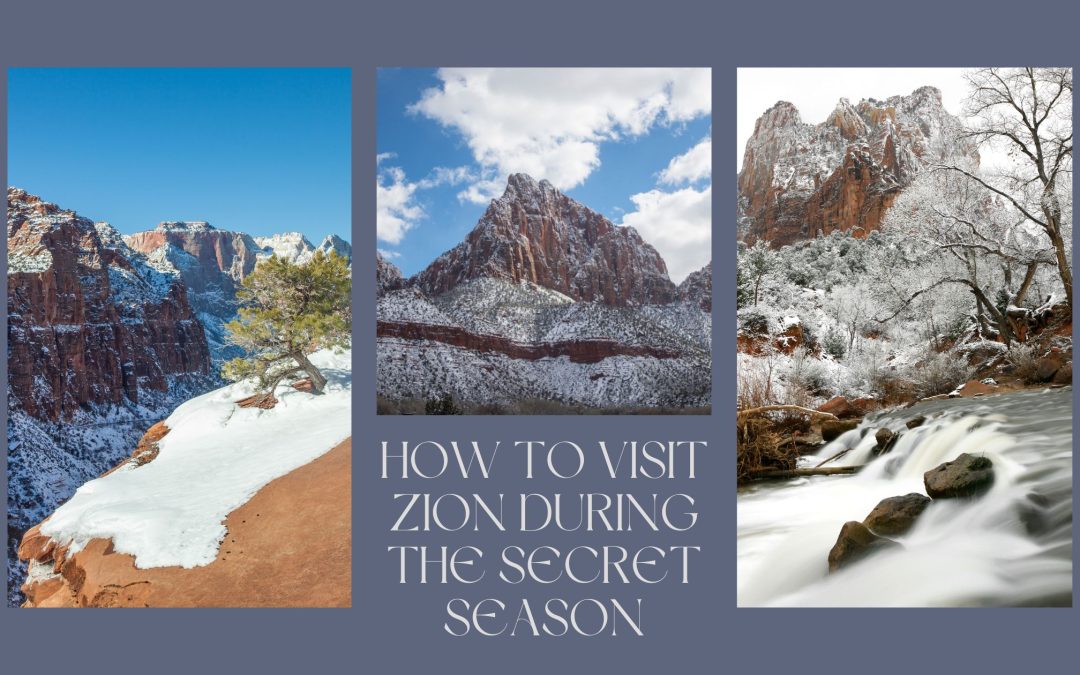 How to Visit Zion During the Secret Season