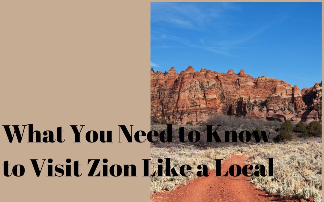 What You Need to Know to Visit Zion Like a Local