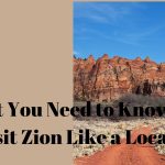 what you need to know to visit zion like a local