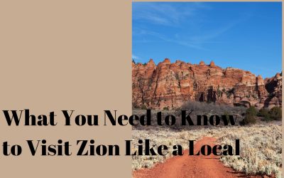 What You Need to Know to Visit Zion Like a Local