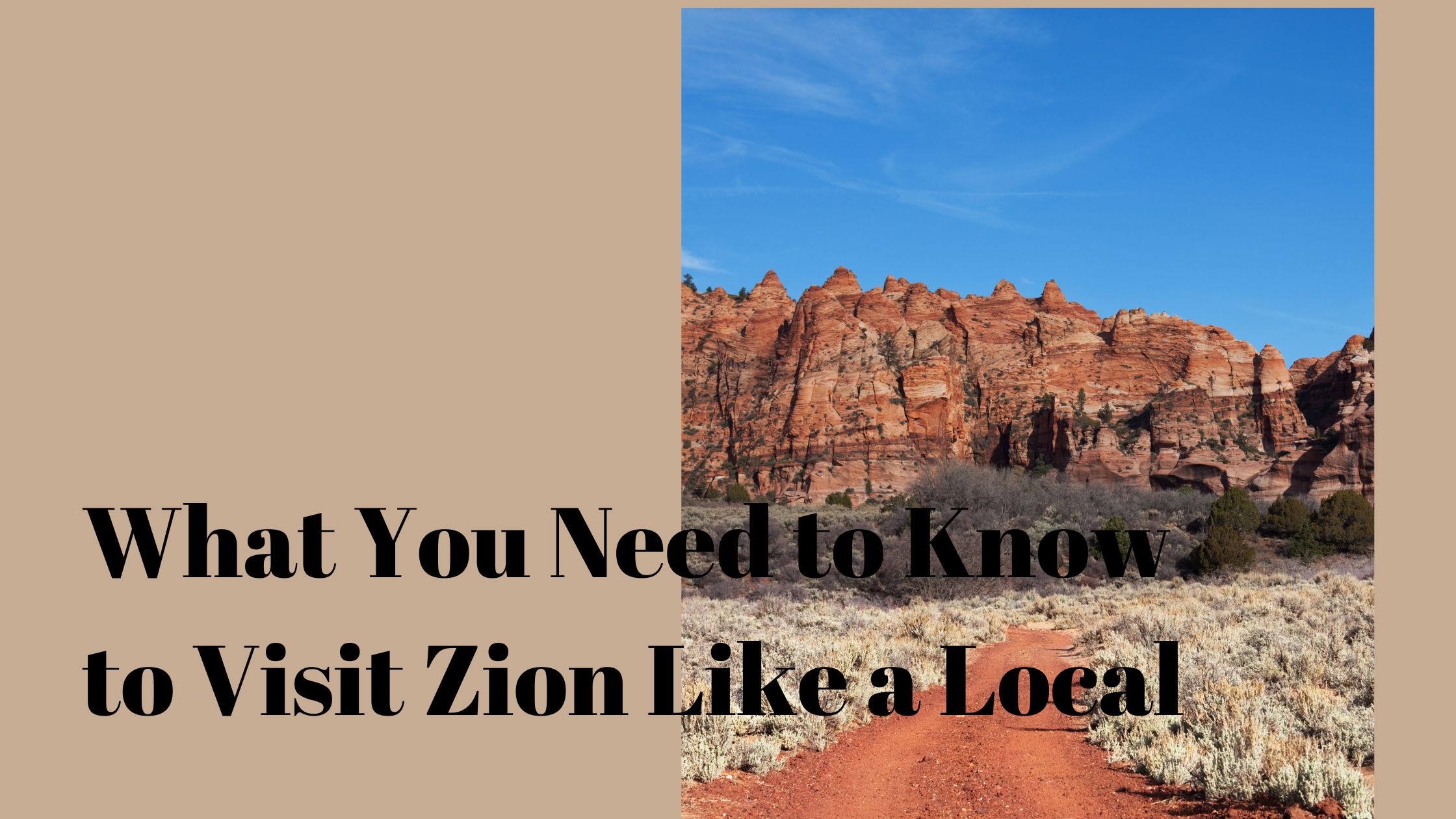 what you need to know to visit zion like a local