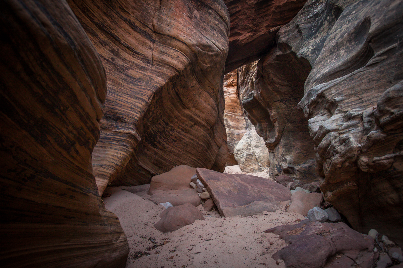 discovering zion