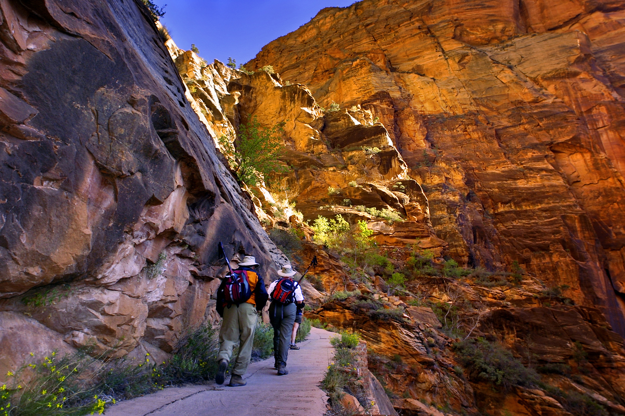 angels landing 3