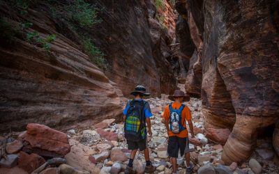 Unraveling the Mysteries of Zion’s Unique Rock Formations