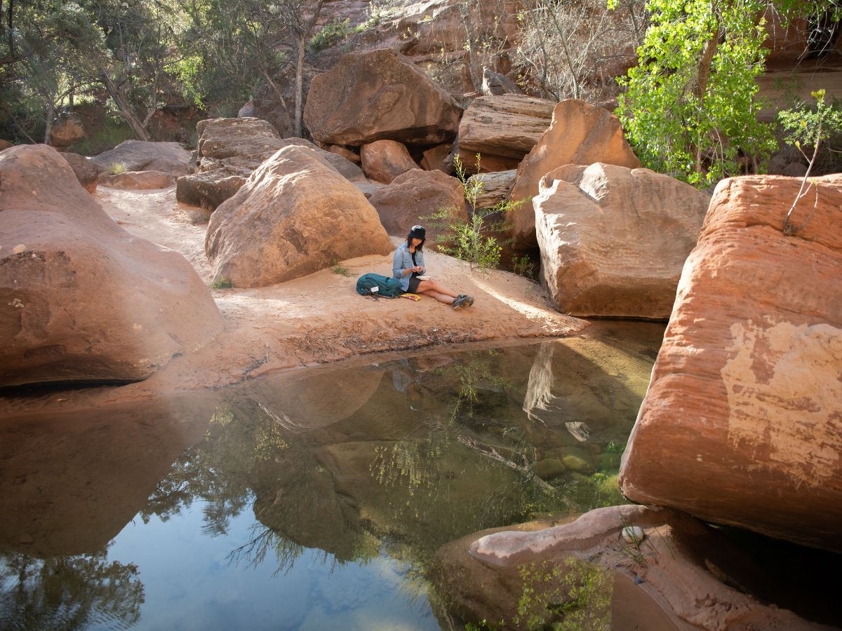 watercolor workshop in zion national park paint outside surrounded by red rocks trees and the river 900x1200 1