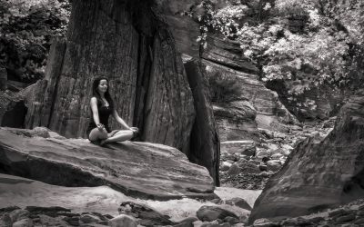 Digital Detox Retreats at Flanigan’s: Rediscover Balance in Zion