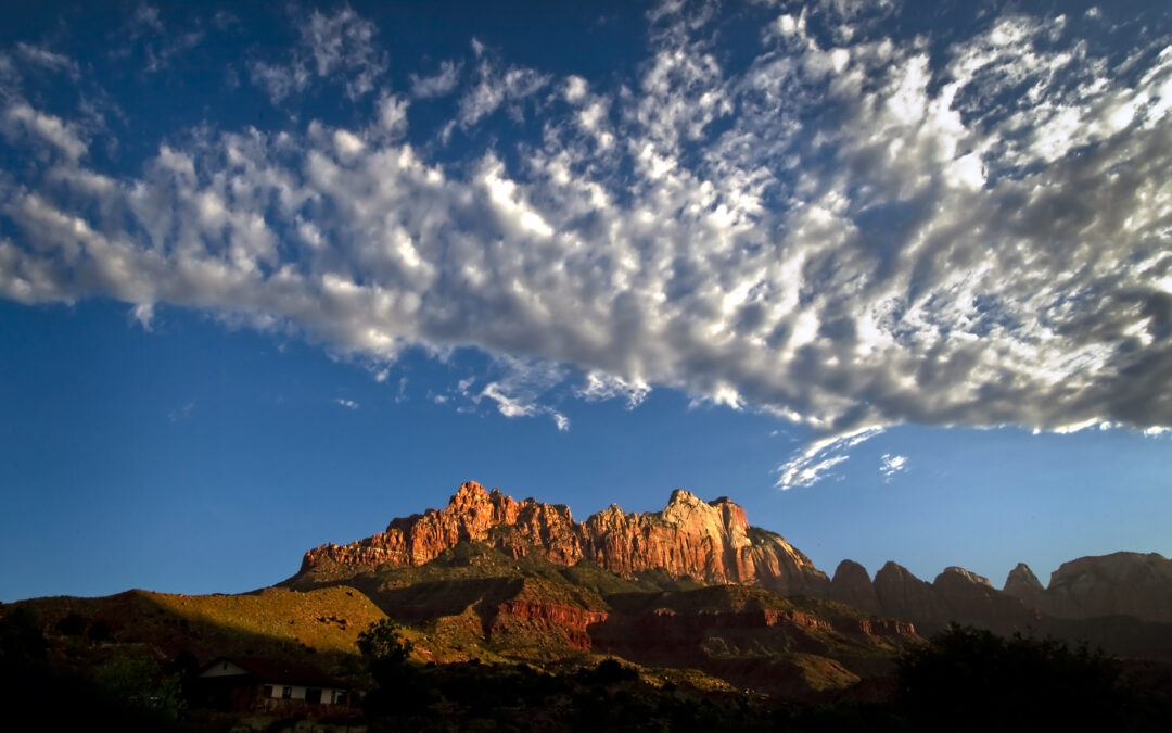 A Complete Winter To-Do List for Zion: Activities, Hikes, and Local Tips