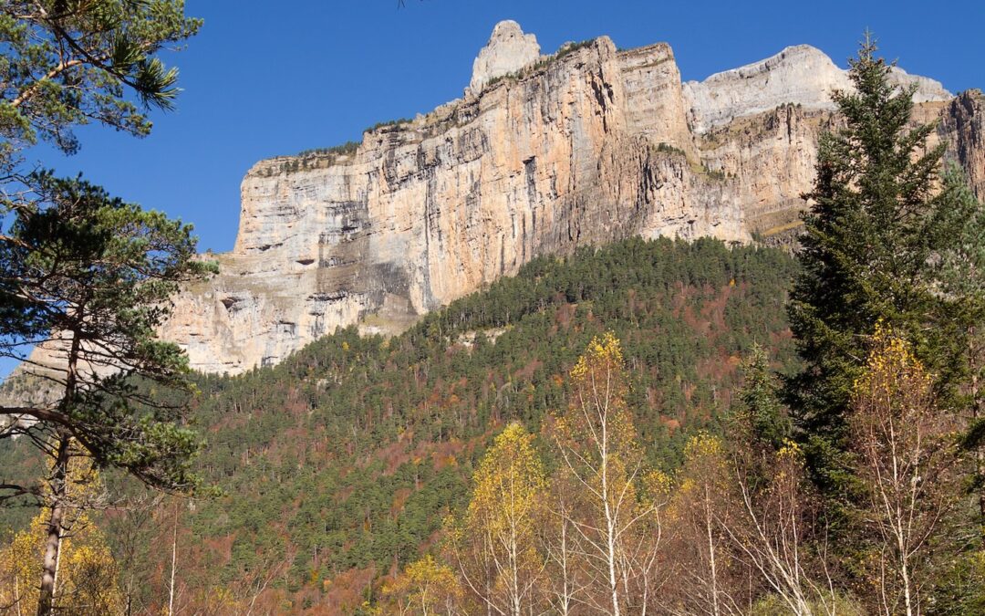 Fall Foliage in Zion: A 2025 Guide to the Best Colors and Trails
