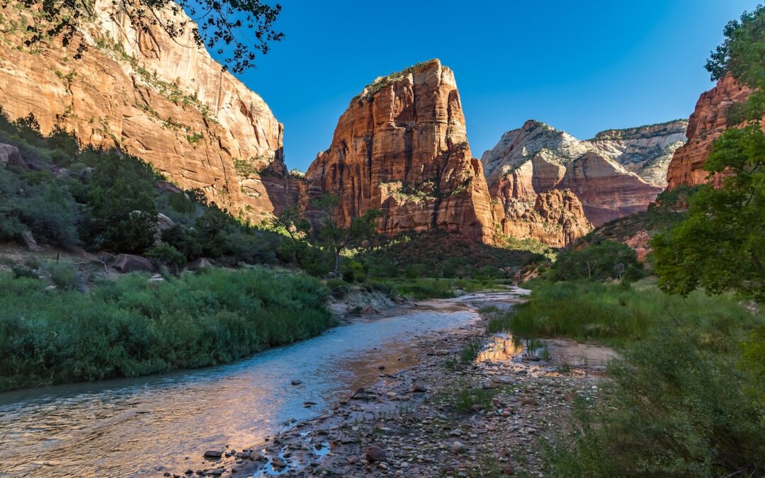 Zion for First-Timers: A Beginner’s Guide to the Park and Beyond