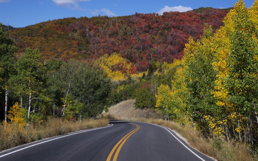 Grab Your Calendar – Dates to Remember in 2025 to Visit Zion National Park