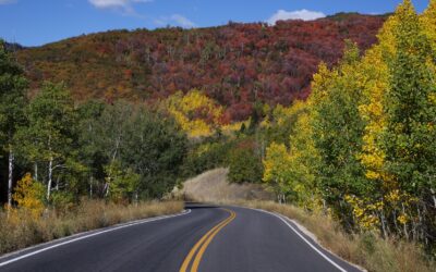 Grab Your Calendar – Dates to Remember in 2025 to Visit Zion National Park