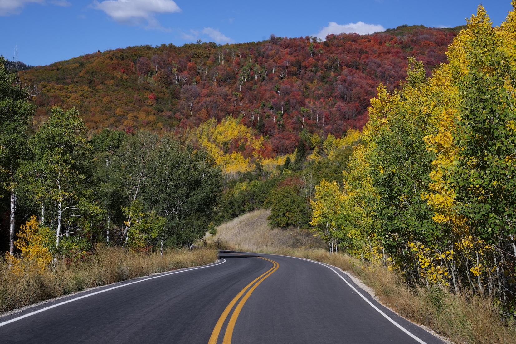 visit-zion-national-park-in-autumn