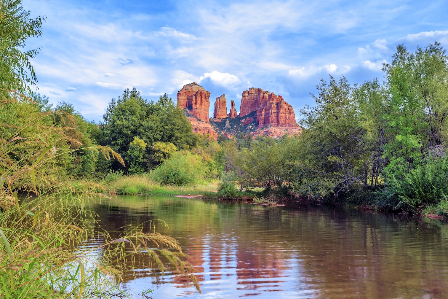 horizontal view of cathedral rock