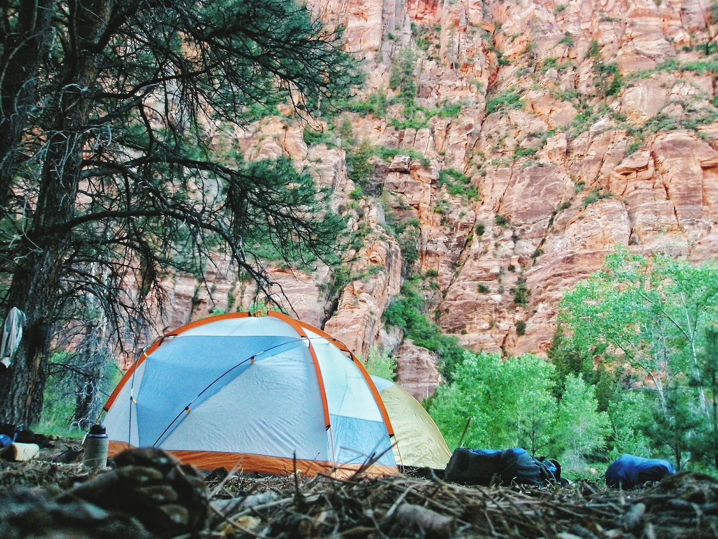 Camping in Zion National Park