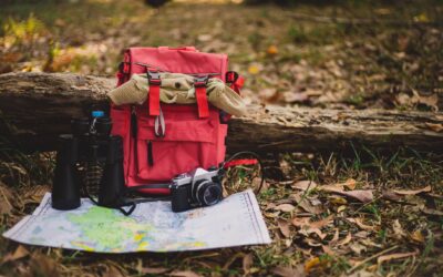 What to Pack for Zion National Park: The Ultimate Year-Round Guide