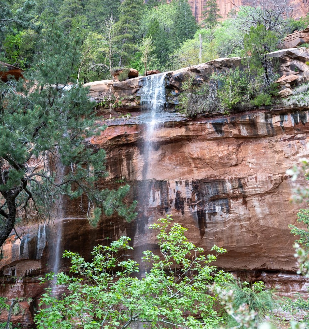 Emerald Pool Zion national park