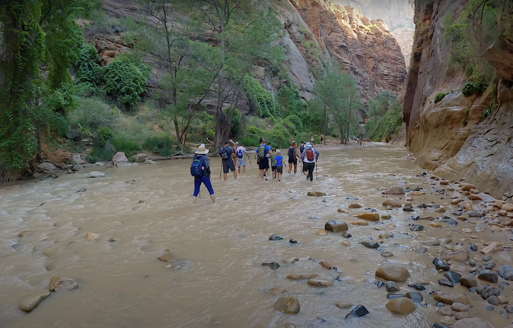 Wading the narrows in zion national park
