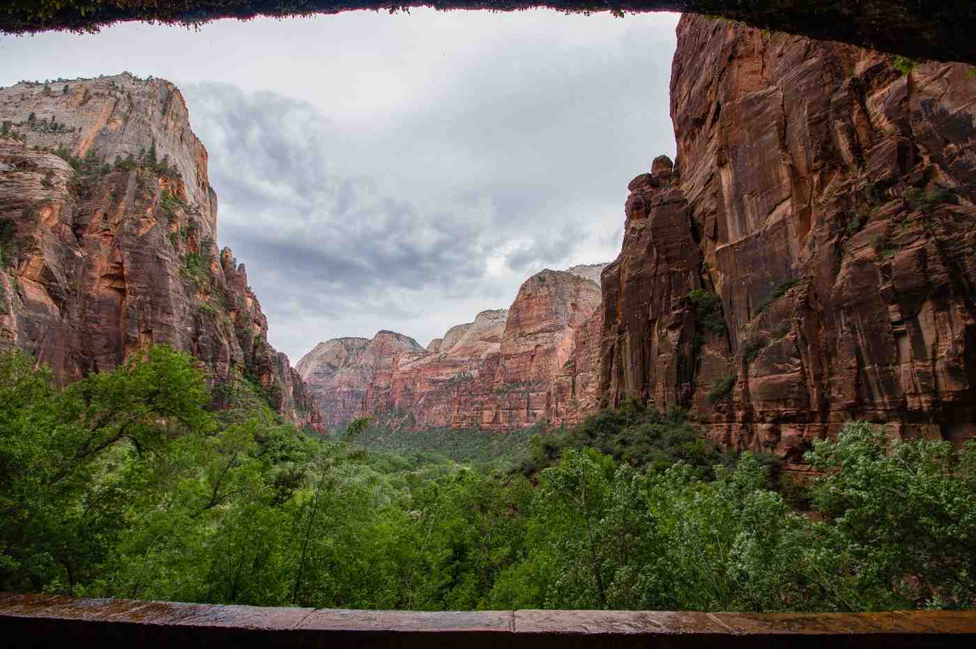 Lush green valley floor surrounded by massive red sandstone canyon walls