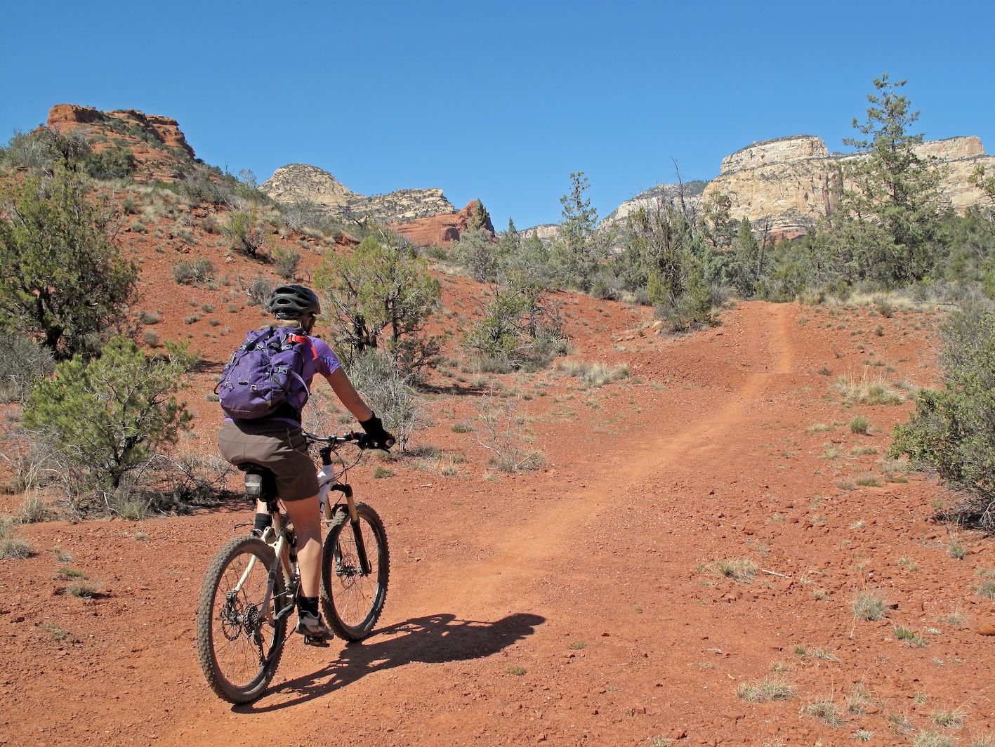 biking zion national park