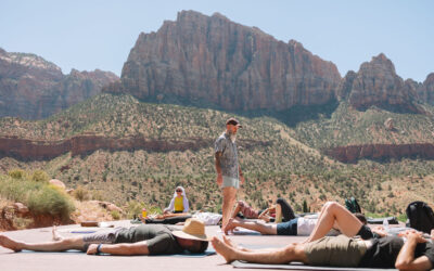 Find Your Calm: A Springdale Yoga Guide