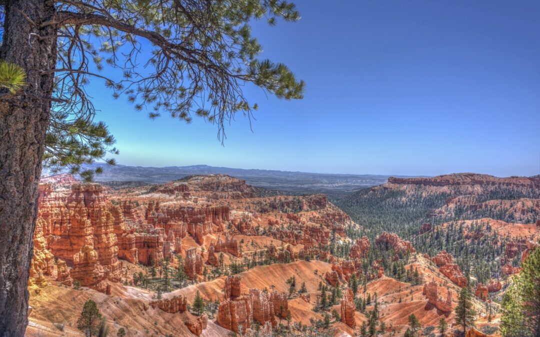 Guide to Zion National Park in November